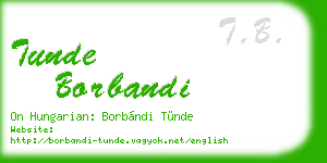 tunde borbandi business card